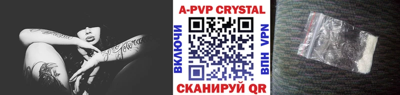 Alfa_PVP СК  Балтийск 