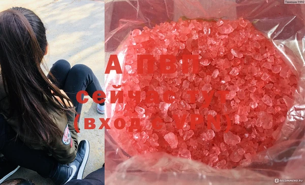 ECSTASY Белоозёрский