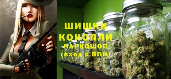 индика Карпинск