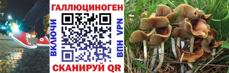 Псилоцибиновые грибы мицелий  Балтийск 