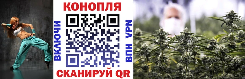 Бошки Шишки семена  Балтийск 